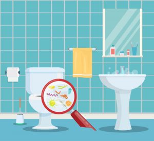 What Types Of Bacteria ARE On Toilet Seats?